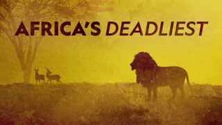 Africa's Deadliest