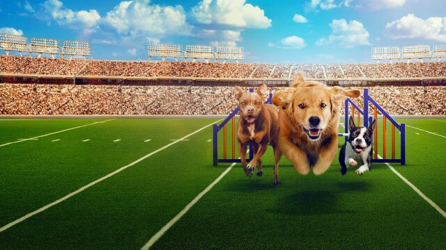 Puppy Bowl XVII Presents: Best in Show