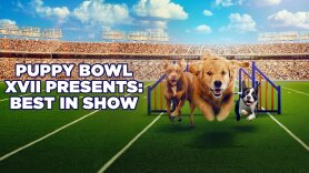 Puppy Bowl XVII Presents: Best in Show