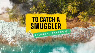 To Catch A Smuggler: Tropical Takedown