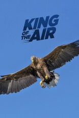 King of the Air
