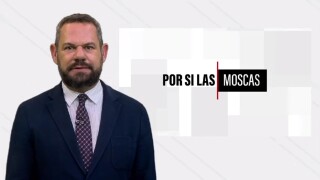 Por si las moscas