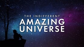 The Indifferent Amazing Universe