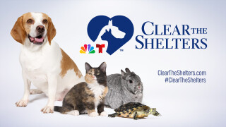 Clear the Shelters