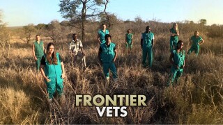 Frontier Vets