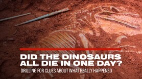 Did the Dinosaurs All Die in One Day? Drilling for Clues About What Really Happened