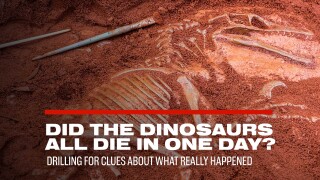 Did the Dinosaurs All Die in One Day? Drilling for Clues About What Really Happened