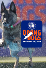 2026 AKC Diving Dogs Premier Cup