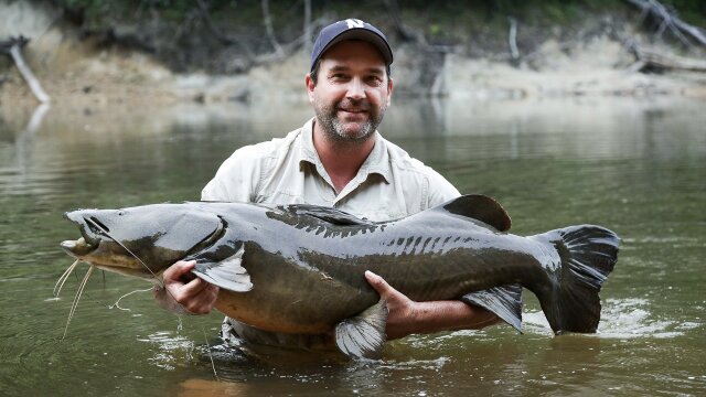 River Jaws: Monster Catfish