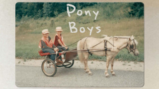 Pony Boys