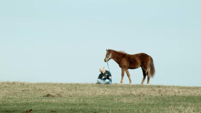 The Wild Ponies of Chincoteague