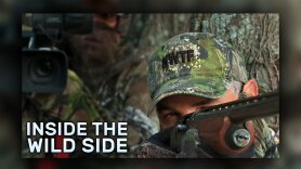 Inside The Wild Side