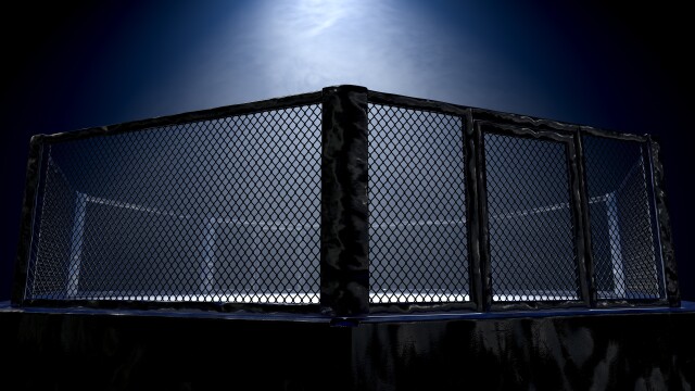 Artes marciales mixtas