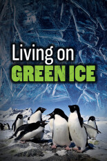 Living on Green Ice