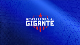 Despertando al gigante