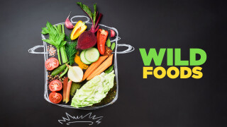 Wild Foods