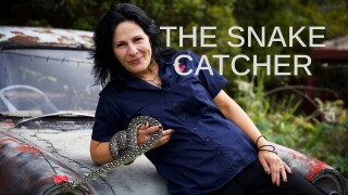 The Snake Catcher