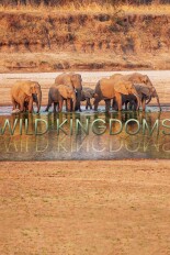 Wild Kingdoms