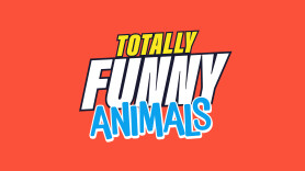 Totally Funny Animals