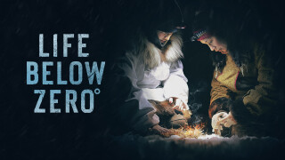 Life Below Zero