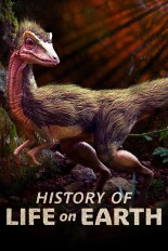History Of Life On Earth