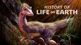 History Of Life On Earth