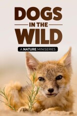 Dogs in the Wild, A Nature Miniseries