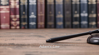 Adam's Law