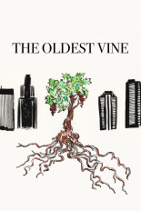 The Oldest Vine