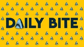 The Daily Bite
