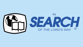 In Search