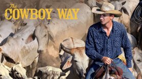 The Cowboy Way