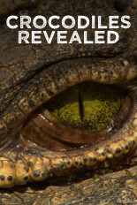 Crocodiles Revealed