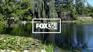 WTOL News 11 at 10 p.m. on FOX36