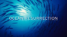 Ocean Resurrection