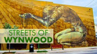 Streets of Wynwood
