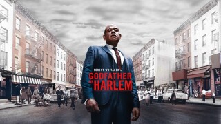 FREE MGM+: GODFATHER OF HARLEM