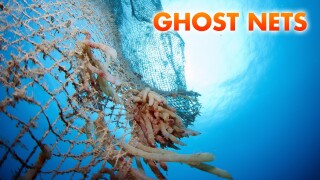 Ghost Nets