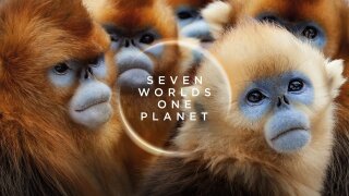 Seven Worlds, One Planet