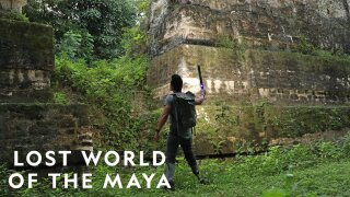 Lost World of the Maya