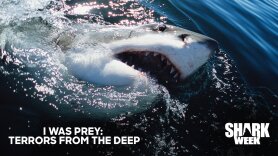 I Was Prey: Terrors From the Deep