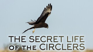 The Secret Life of the Circlers