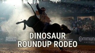 Dinosaur Roundup Rodeo