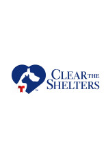 Clear the Shelters