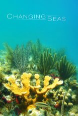 Changing Seas