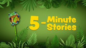 5 Minute Stories