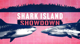Shark Island Showdown