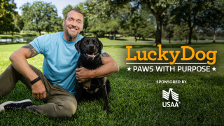 Lucky Dog: Paws With Purpose