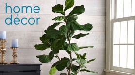 Ode to Color by Lori Weitzner -- Home Décor: Ode to Color by Lori Weitzner -- Home Décor