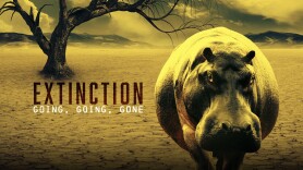 Extinction: Going, Going, Gone